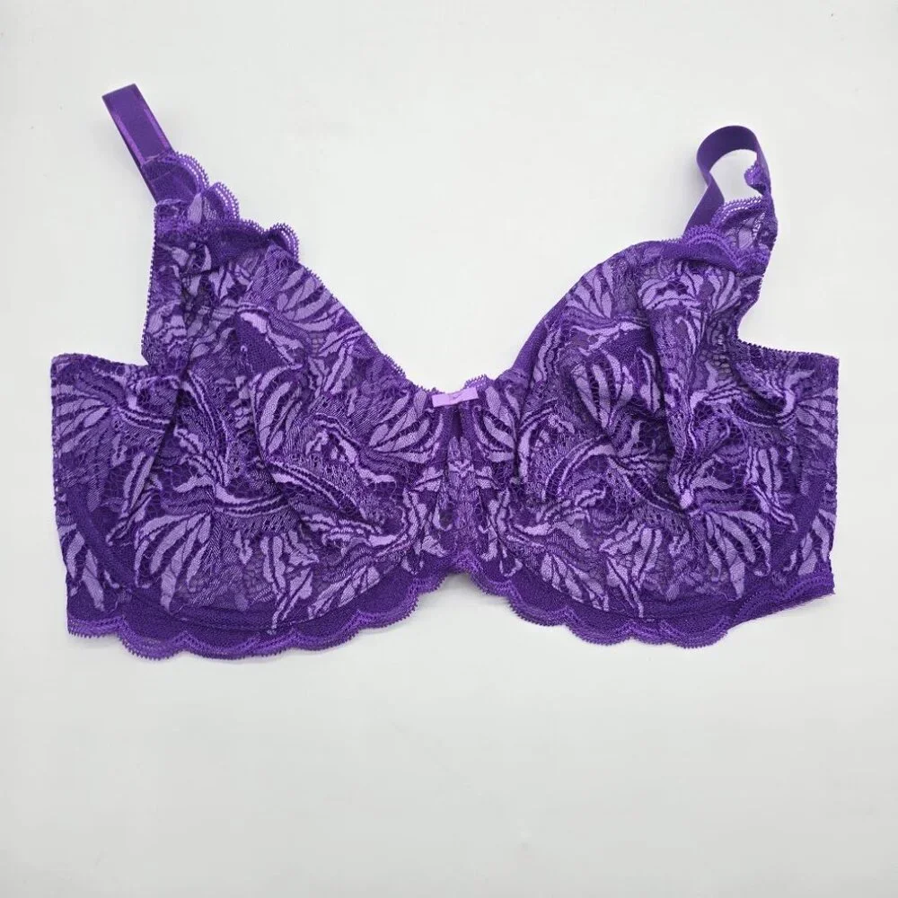 Felina paramour by